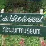 Groen houtenbord met witte letters, De wielewaal