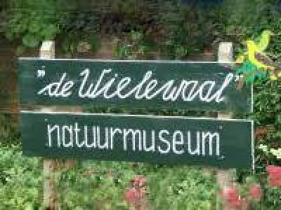 Groen houtenbord met witte letters, De wielewaal