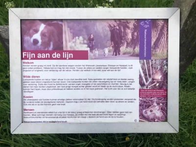 Hond aan de lijn